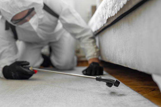 Professional Ant Control technician working in Bellevue, IA