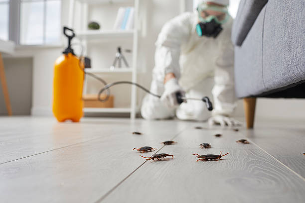 Trusted Cockroach Control service in Bellevue, IA - Nex Pest Control