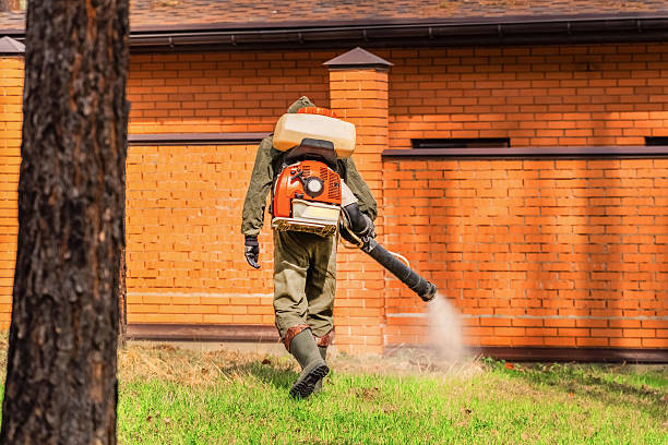 Trusted Ant Control service in Bellevue, IA - Nex Pest Control